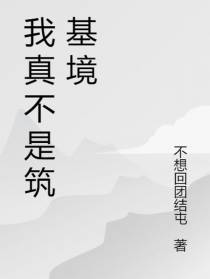 我真不是筑基境