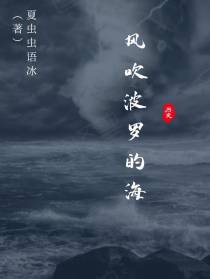 风吹波罗的海