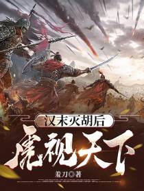 汉末灭胡后虎视天下