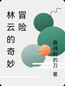 林云的奇妙冒险