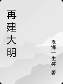 再建大明