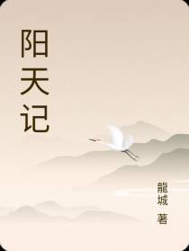 阳天记