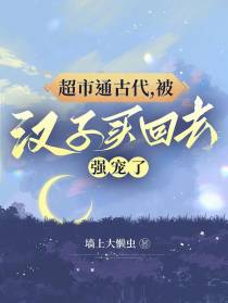 超市通古代,被汉子买回去强宠了