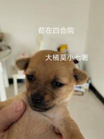 苟在四合院