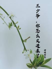 三少爷,你怎么又进来了？