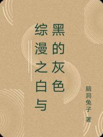 综漫之白与黑的灰色