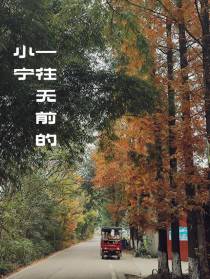 一往无前的小宁