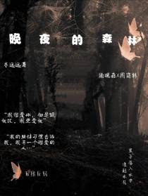 晚夜的森林