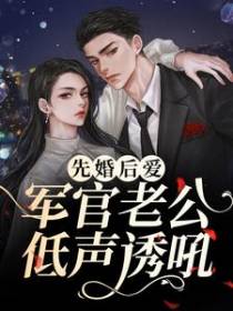 先婚后爱：军官老公低声诱吼