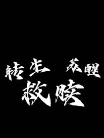 转生,苏醒,救赎