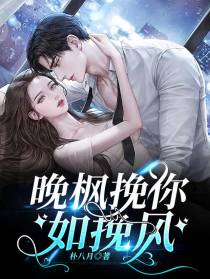 晚枫挽你如挽风