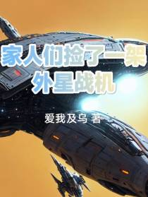 家人们捡了一架外星战机