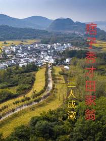 痞子秀才田家翁