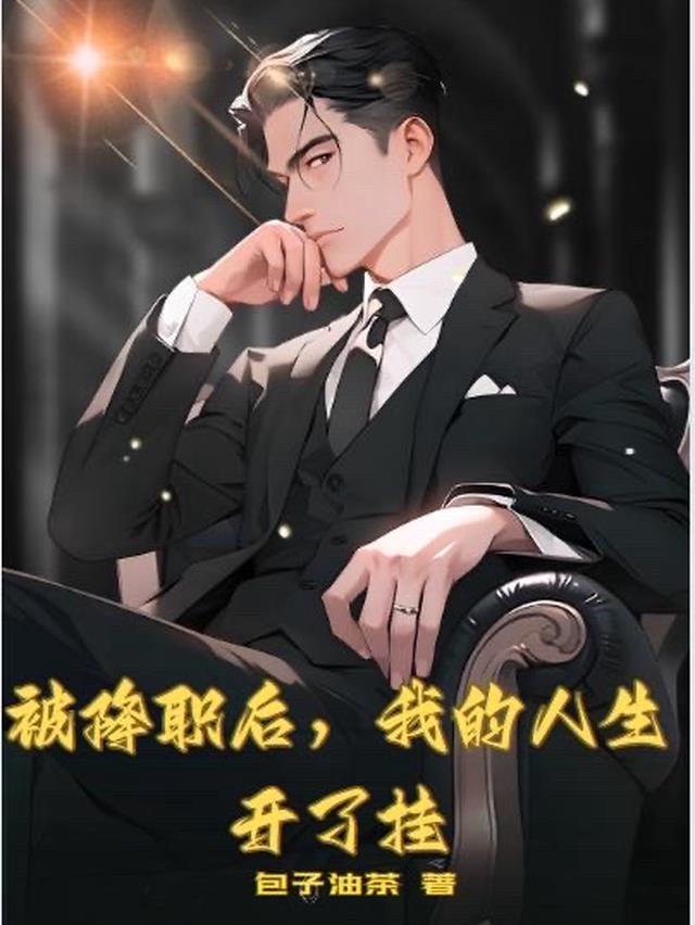 被降职后,我的仕途开了挂