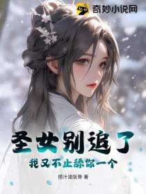 圣女别追了,我又不止舔你一个