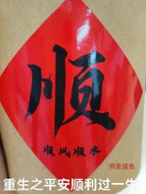 重生之平安顺利过一生
