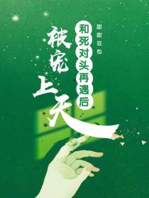 和死对头再遇后,被宠上天
