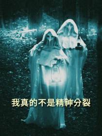我真的不是精神分裂