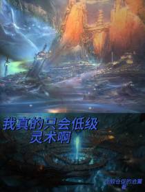我真的只会低级灵术啊
