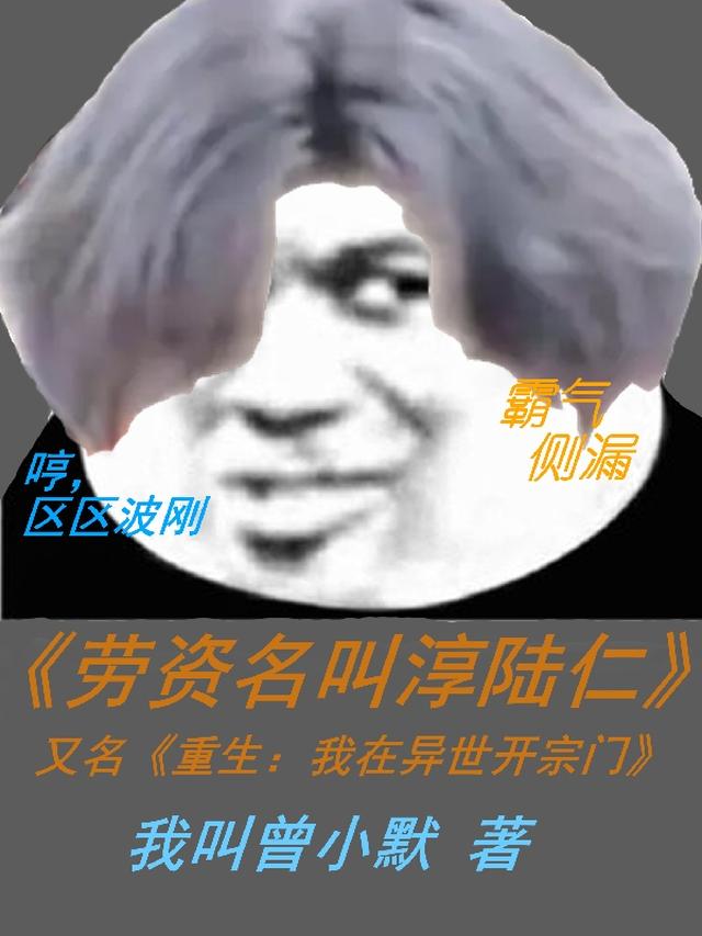 劳资名叫淳陆仁