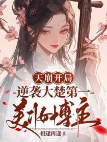 天崩开局，逆袭大楚第一美妆博主