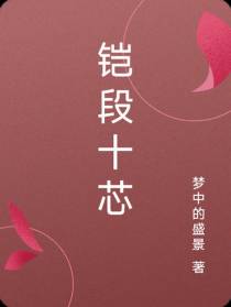 铠段十芯