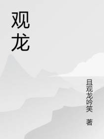 观龙