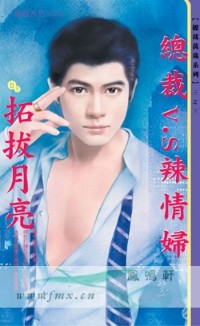 总裁V.S辣情妇