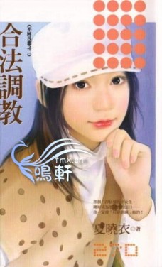 合法调教