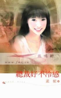 总裁好不冷感