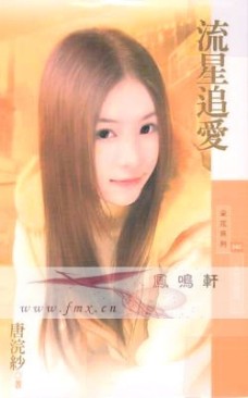 流星追爱