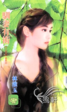 驯妻有术