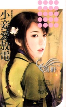小妾爱放电