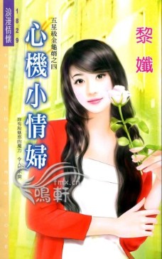 心机小情妇