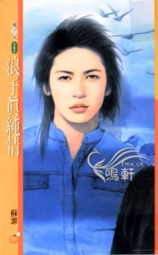 浪子真纯情