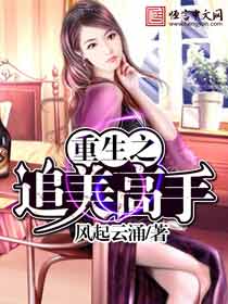 重生之追美高手