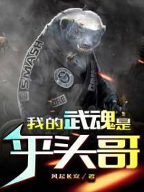我的武魂是平头哥