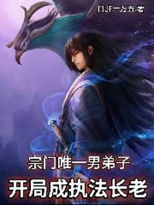 宗门唯一男弟子，开局成执法长老