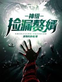 神级鉴宝赘婿-上门龙婿