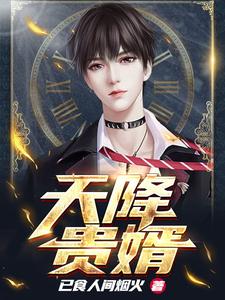 天降贵婿