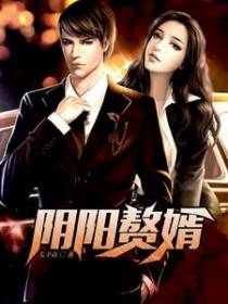 阴阳赘婿