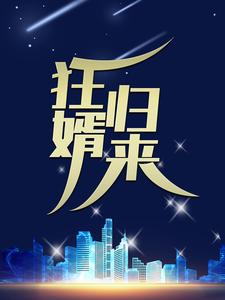 狂婿，归来！