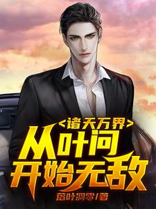 诸天万界：从叶问开始无敌