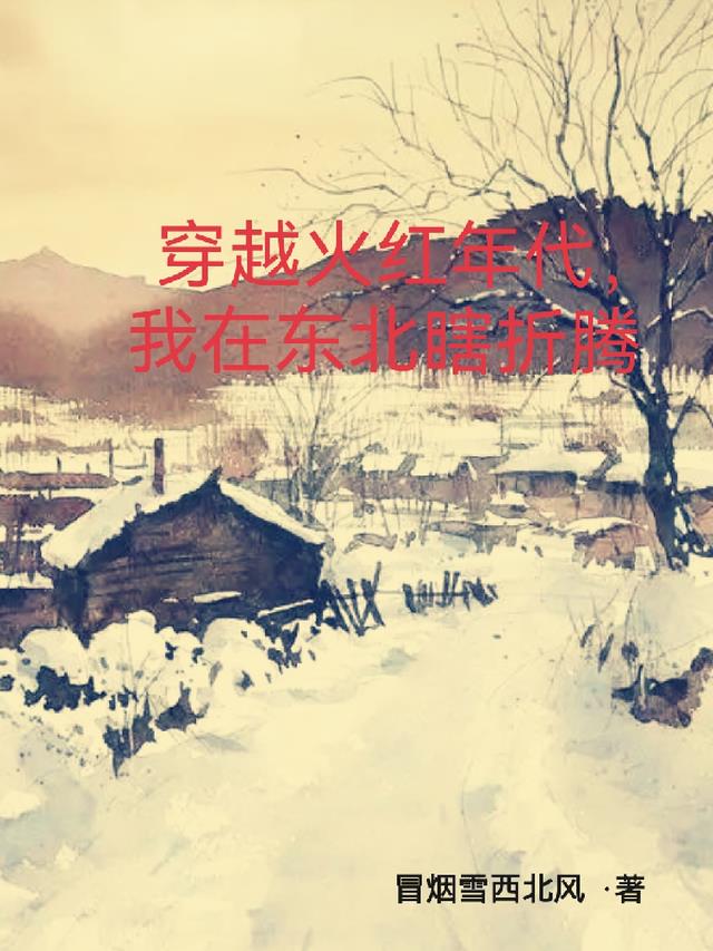穿越火红年代，我在东北瞎折腾