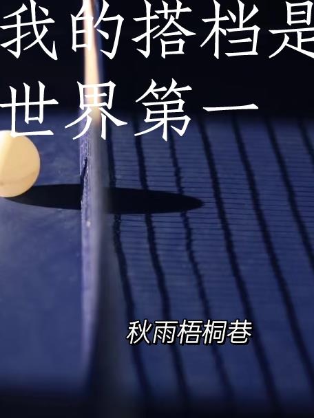 我的搭档是世界第一