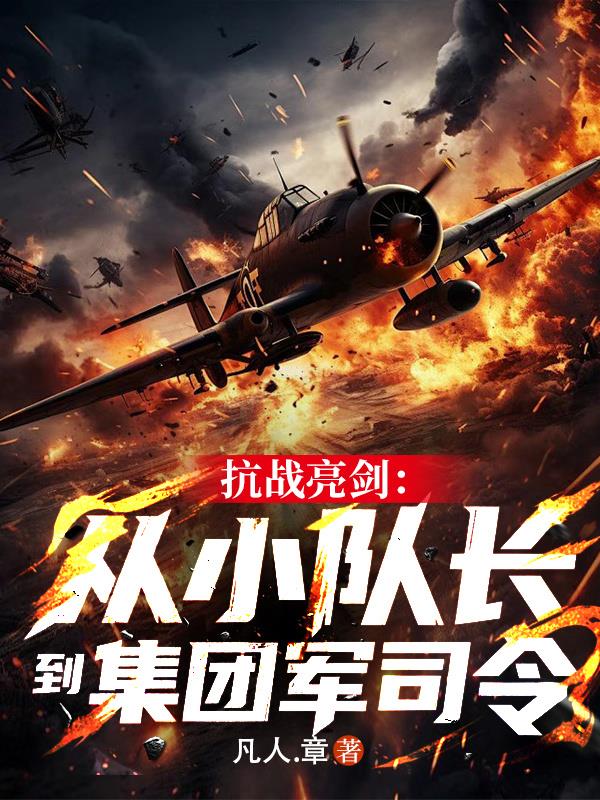 抗战亮剑：从小队长到集团军司令