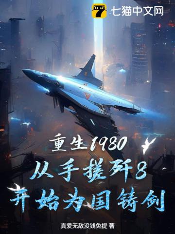 重生1980，从手搓歼8开始为国铸剑