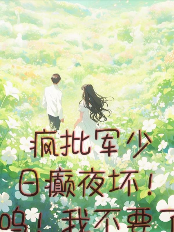 疯批军少日癫夜坏！呜！我不要了