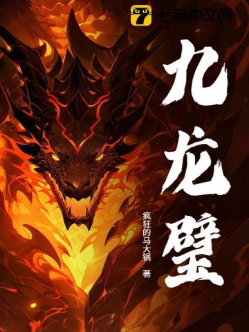 九龙璧