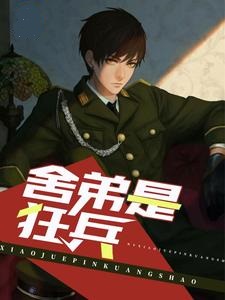 舍弟是狂兵